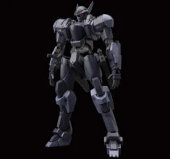 Bandai 1/60 M9D FALKE VER.IV