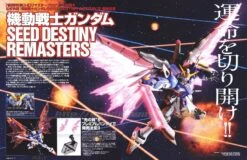 Bandai Rg Destiny Wings Of Light 1/144