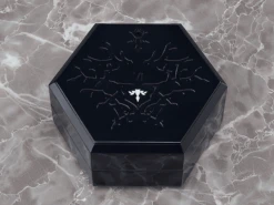 Chitocerium VI-Carbonia Graphites Model Kit -Children Toy Store 1f9c21e2 4543 4676 912f e86a544599f5