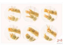 Kotobukiya Sousai Shoujo Teien Touou High School Winter Clothes Madoka Yuki 1/10 Scale Model Kit 33 Kotobukiya Sousai Shoujo Teien Touou High School Winter Clothes Madoka Yuki 1/10 Scale Model Kit -Children Toy Store 419716ea a12c 4d35 8e8e d572eee3add7